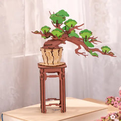 Sale Rolife 3D Wooden Puzzle - Evergreen Pine Bonsai TG510
