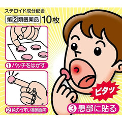 MEDICAL TAISHO CANKER SORE PATCH