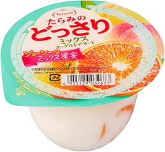 TARAMI BIG JELLY CUP MIXED FRUIT DESSERT