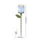 ROKR Single Flower Floral Art DIY 3D Puzzle-Blue Rose