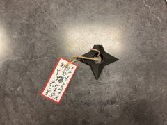 Shuriken refrigerator magnet