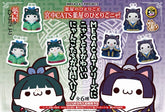 Mega Cat Project