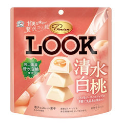 FUJIYA PREMIUM LOOK SHIMIZU HAKUTO CHOCOLATE
