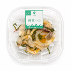 Kanetoku Seaweed Squid