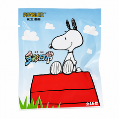 Peanuts Snoopy Colorful Everyday Series Plush Pin Blind Bag