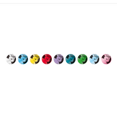 Pokémon CSV9.5C Terastal Grand Eeveelution Coin Set Collection (*Flareon Edition)