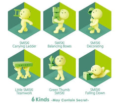SMISKI: Moving Blind Box (single box)