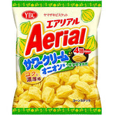 YBC Aerial Sour Cream Onion 2.2oz