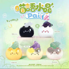 Meow Crystal Pai Blind Box
