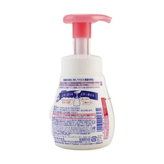 KAO BIORE FOAM HAND SOAP FRUIT