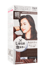 Kao LIESE PRETTIA Bubble Hair Dye  Natural Ash