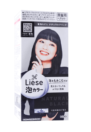 Kao LIESE PRETTIA Bubble Hair Dye  Natural Black