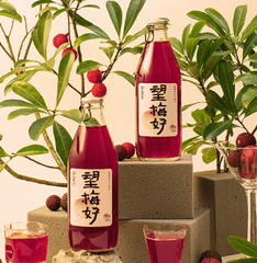Haowangshui Compound Carbonated Drinks Bayberry
