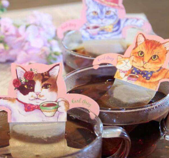 Tea Boutique Cat Cafe Earl Grey