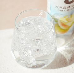 GF Sparkling Water Salted Green Plum Flavor