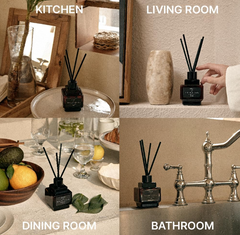 HETRAS Objet Diffuser 2Pack Set Department Store 1F