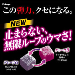 KABAYA Tough Gummy Grape flavor 2 Assortment <Grapy Punch >