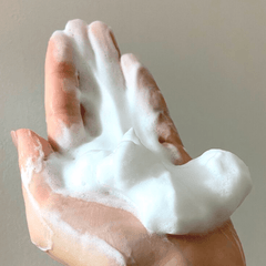 SHISEIDO FT PERFECT WHIP WHITE CLAY FACE
WASH