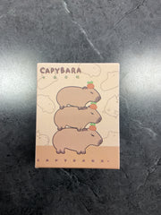 Capybara Blind Box Style 2