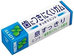 LOTTE FREE ZONE MINT GUM .9oz