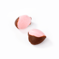 Glico Caplico no Atama: Strawberry Chocolates 1.06 OZ