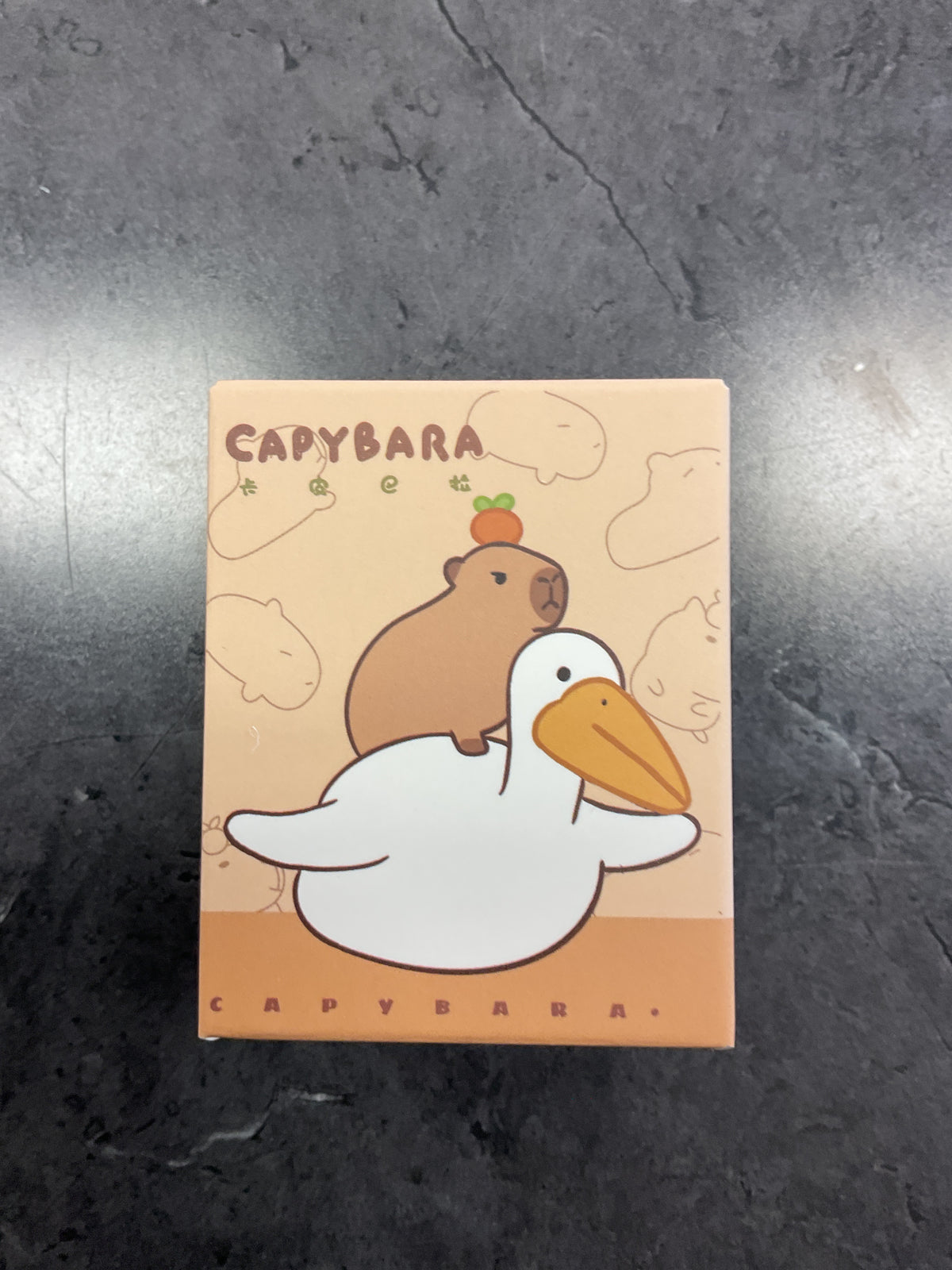 Capybara Blind Box Style 3
