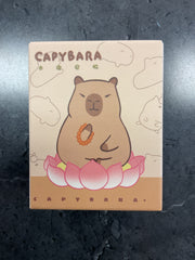 Capybara Blind Box Style 6