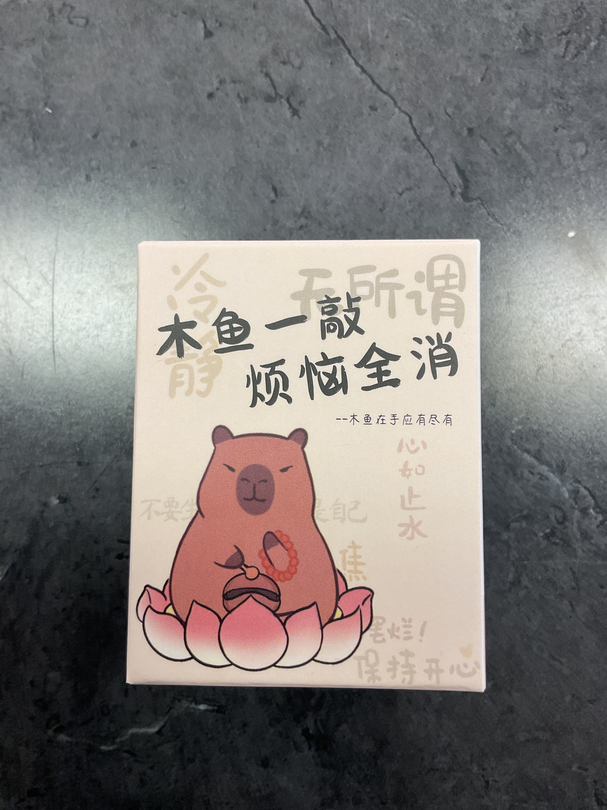 Capybara Blind Box Style 4