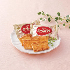 FUJIYA HOME PIE 38P