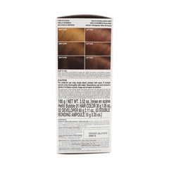 Hello Bubble Hair Dye, Easy Hair Coloring, 3.52oz. #6N Choco Brown [2 Boxes of Medium-Long Hair Value Pack]