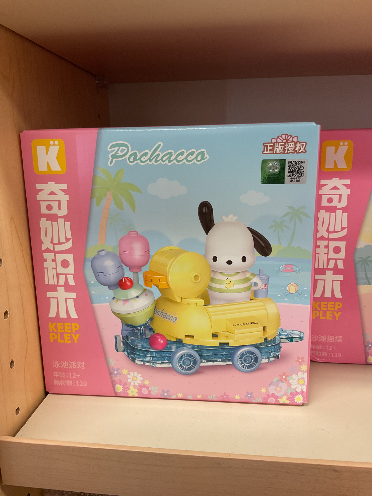 Pochacco Pool Party