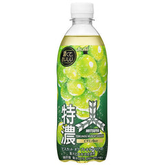 ASAHI Mitsuya Muscat Squash