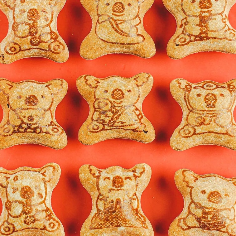 LOTTE KOALA'S MARCH BITTERCHOCO