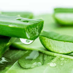 Jmsolution Aloe Soothing Gel Cica Plus Calming 300ml