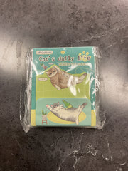 Cats daily life