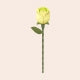 ROKR Single Flower Floral Art DIY 3D Puzzle-Green Rose