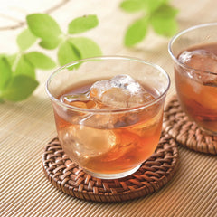 NOMURA TEA GARDEN Hojicha (Roasted Green Tea) 40P Tea Bag
