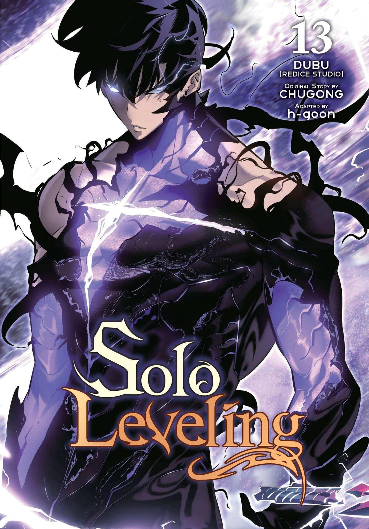 SOLO LEVELING VOL 13