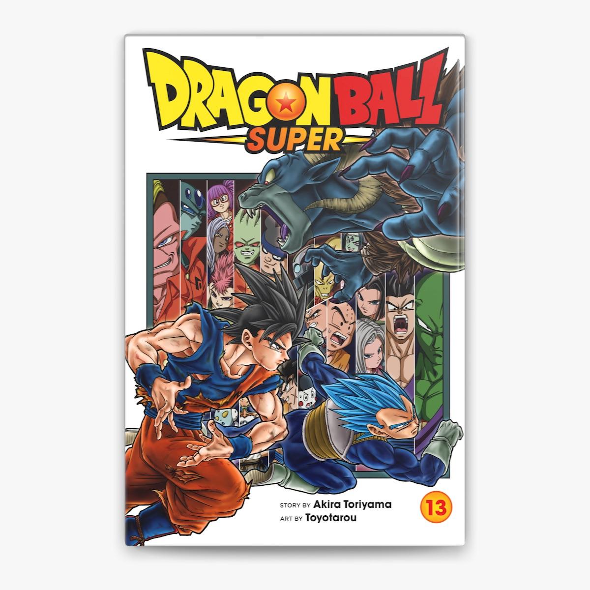 DRAGON BALL SUPER VOL 13