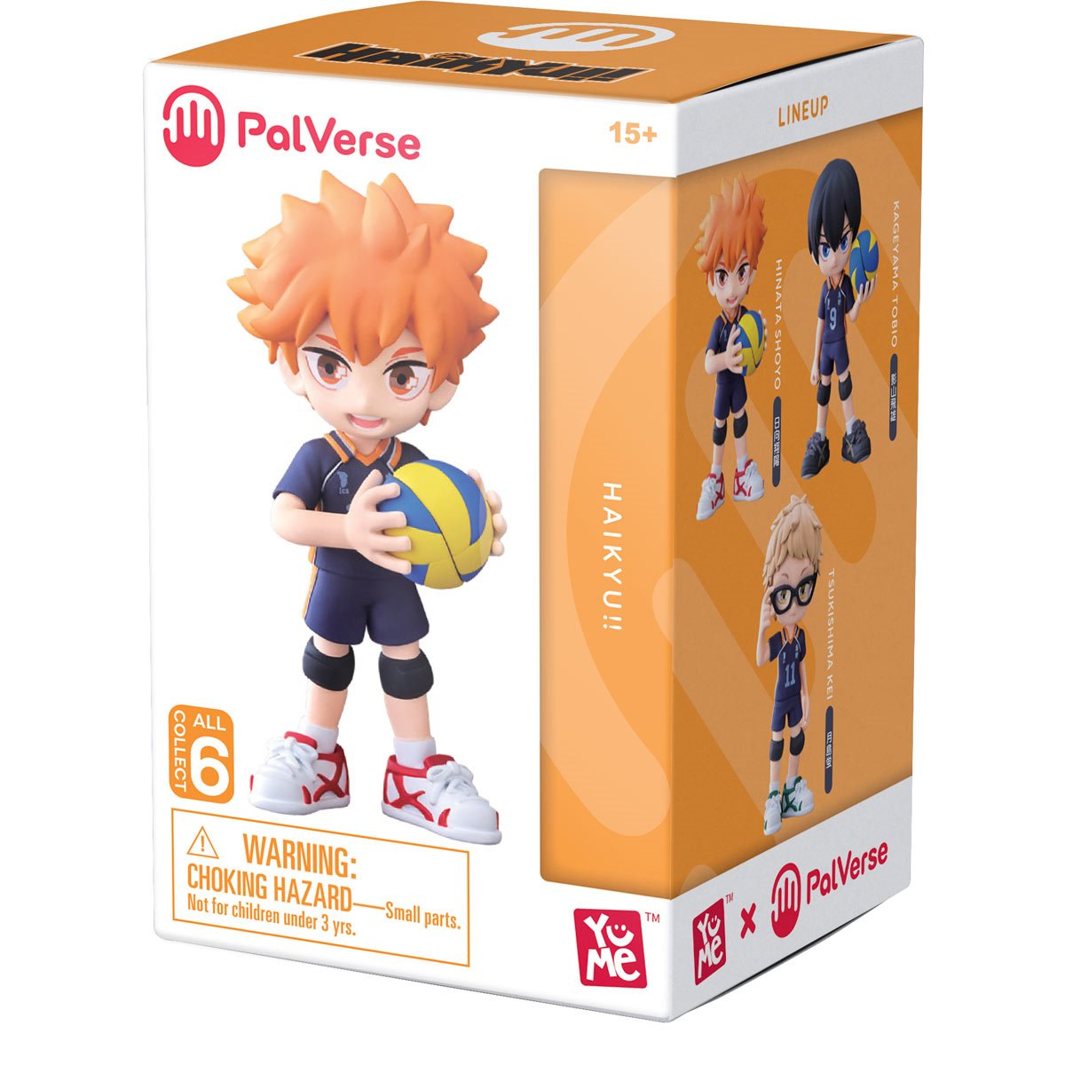 Haikyuu palverse blind box