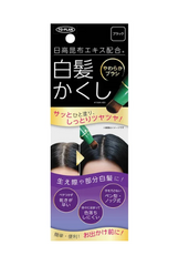 Tokyo Planning Sales Hidaka White Hair Hiding N Black 20g