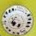 Look-back panda mini plate