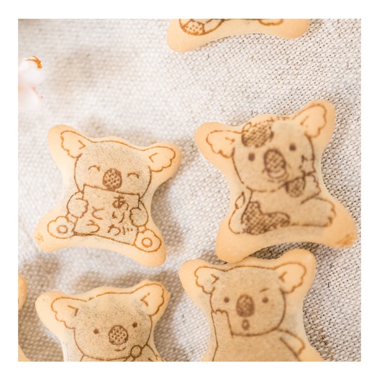 LOTTE Japan Koala Chocolate Crème Filled Cookies - Japanese Dessert