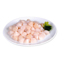 Natural Scallop Meat S 31/35
