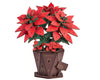 Robotime Rowood Poinsettia Flowers - DIY Miniature 3D Wooden Model Kit TF001